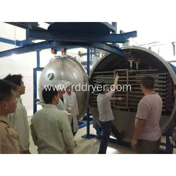 Blueberry low temperature vacuum freeze dryer